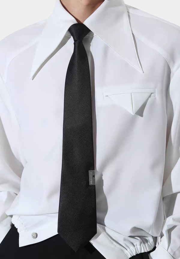 RICCIWEE Statement Tie and Tie Clip