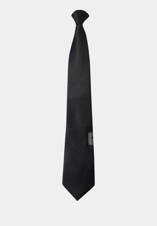 RICCIWEE Statement Tie and Tie Clip